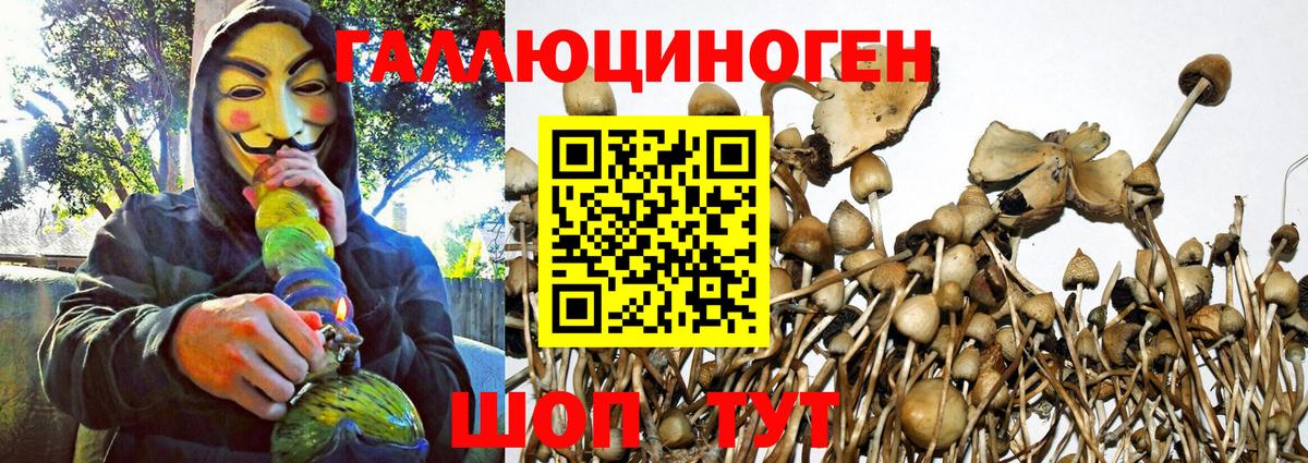 Галлюциногенные грибы MAGIC MUSHROOMS Жуковский