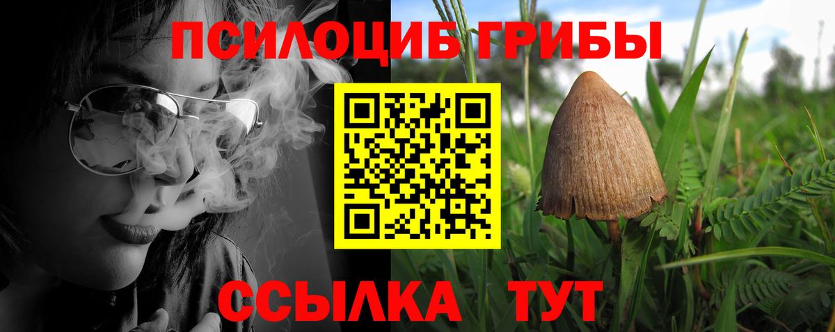 как найти закладки  Псилоцибиновые грибы Psilocybe  Жуковский  Вход с VPN  Галлюциногенные грибы GOLDEN TEACHER 